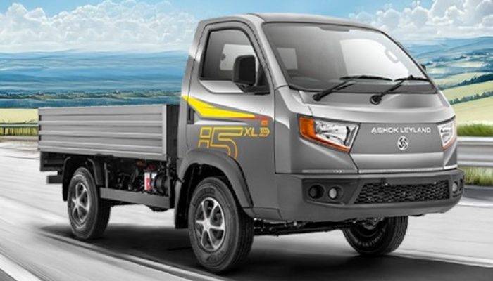 Untitled design (33)